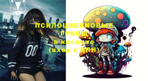 PSILOCYBIN Абинск