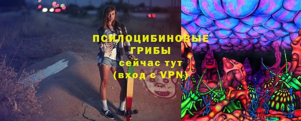 2c-b Абаза