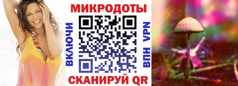 Псилоцибиновые грибы ЛСД  кракен ТОР  Новопавловск  продажа наркотиков 